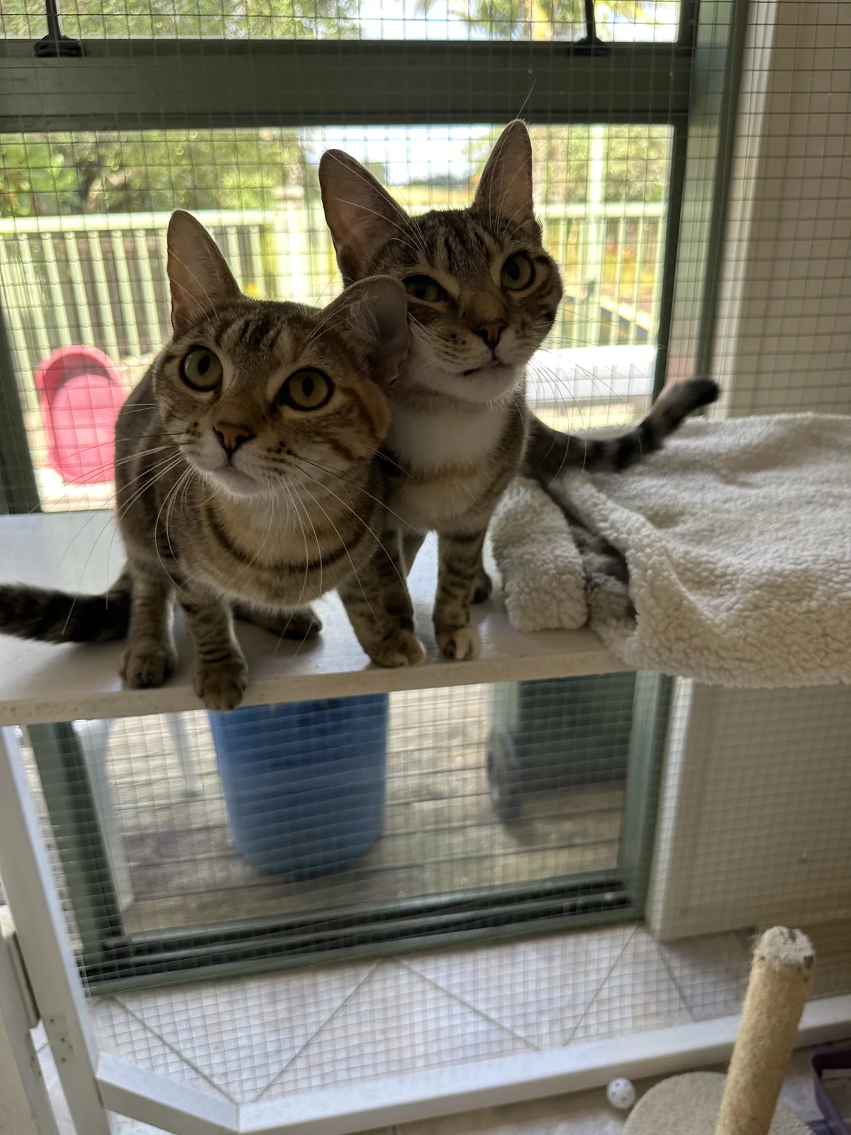 Gallery image: Thelma