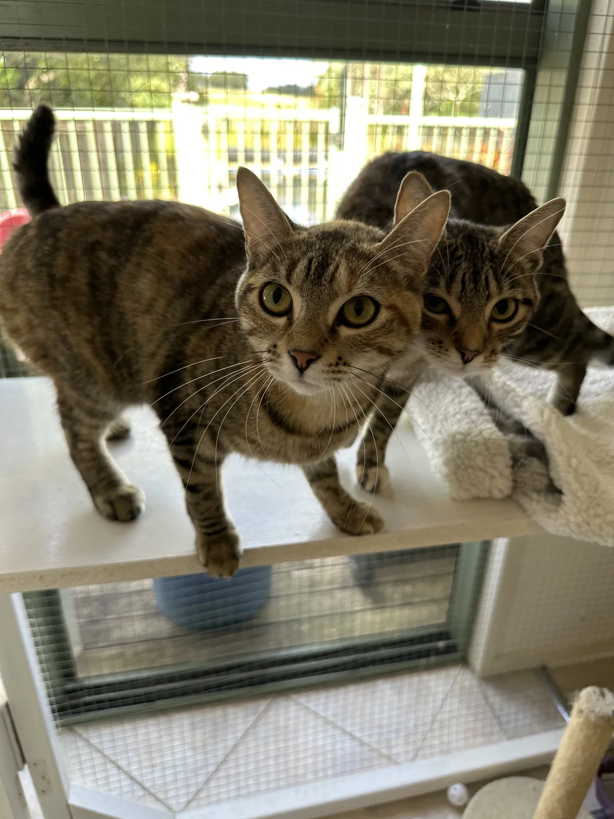 Gallery image: Thelma