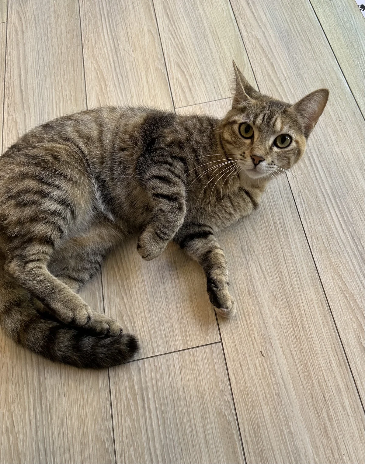 Gallery image: Thelma