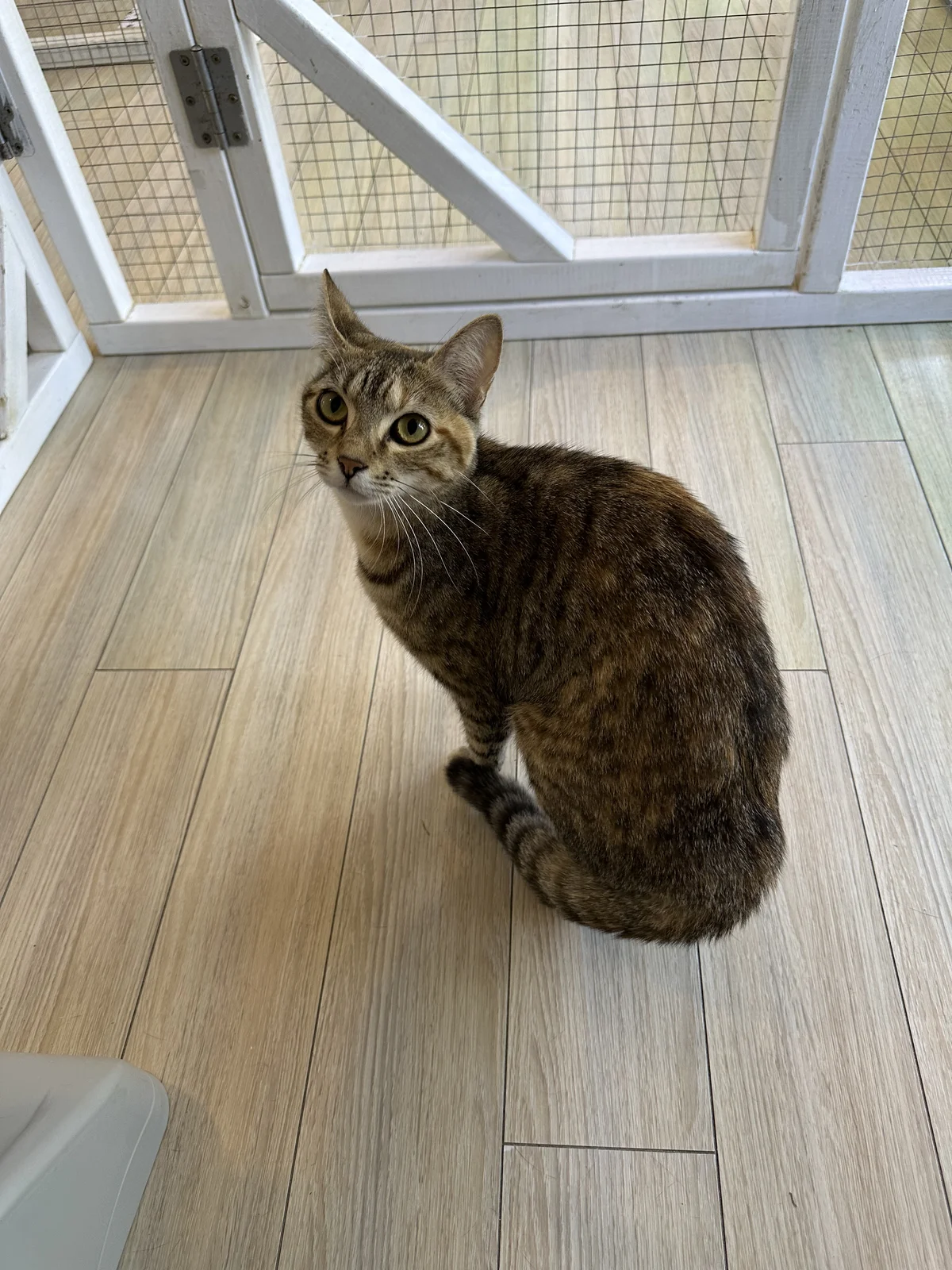 Gallery image: Thelma