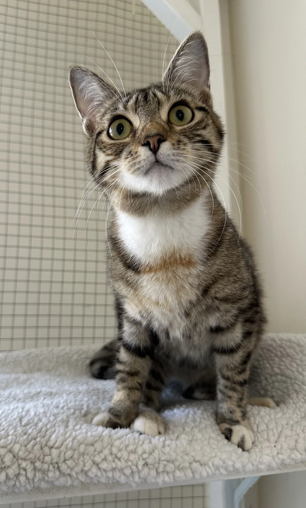 Gallery image: Louise