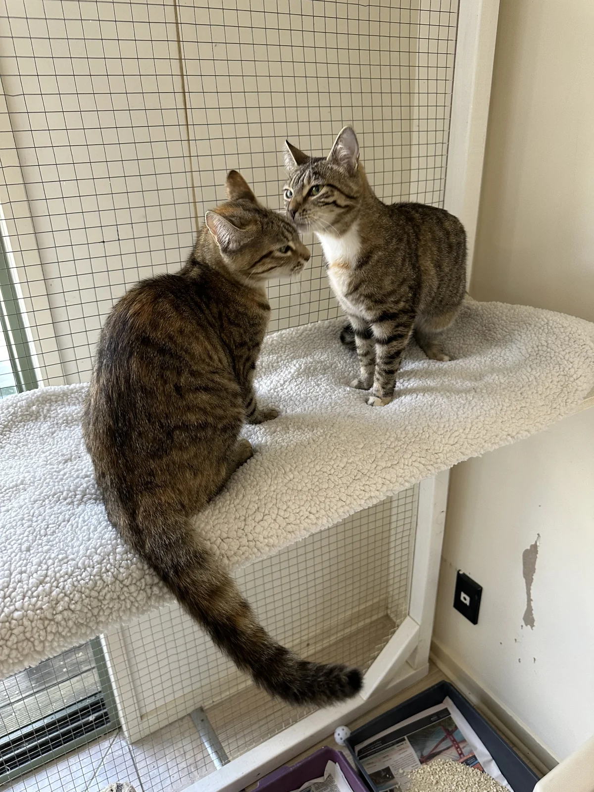 Gallery image: Louise