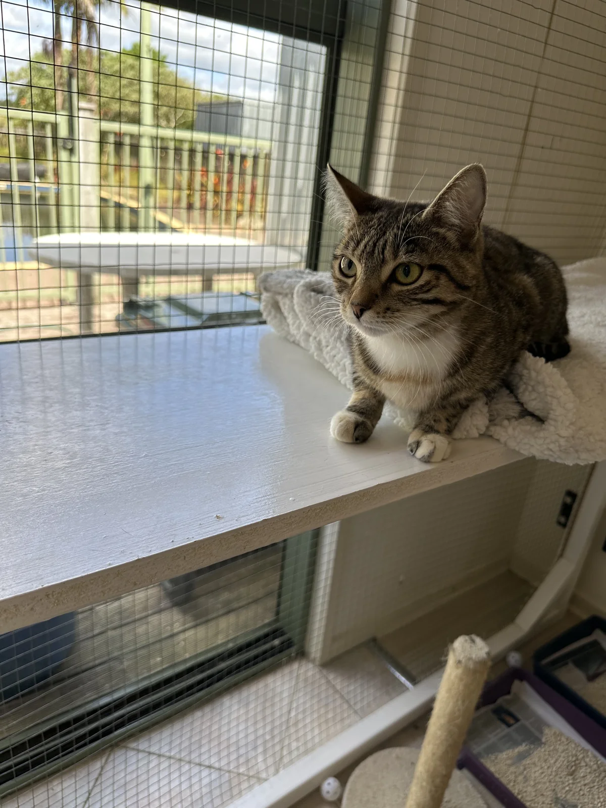 Gallery image: Louise