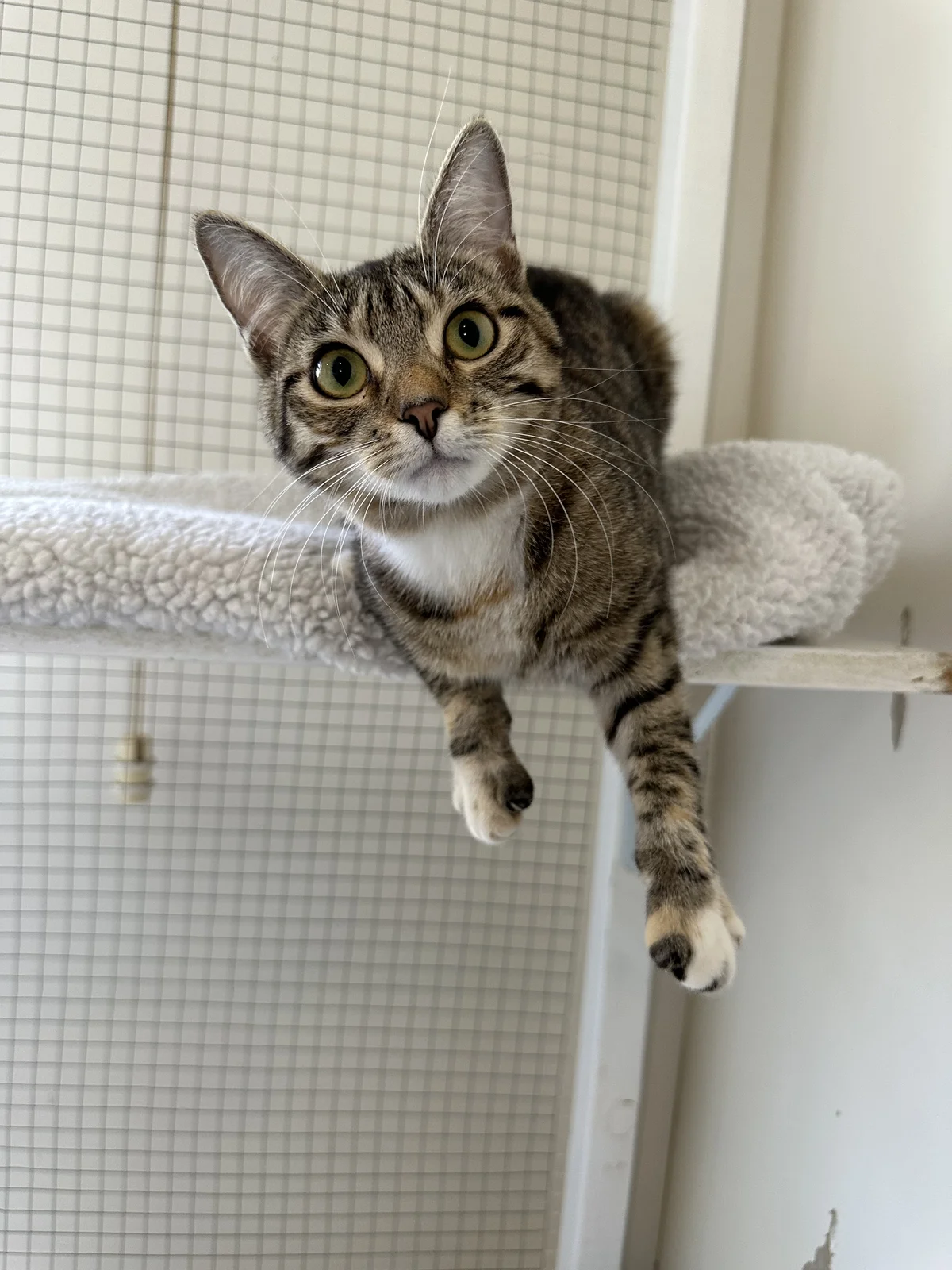 Gallery image: Louise