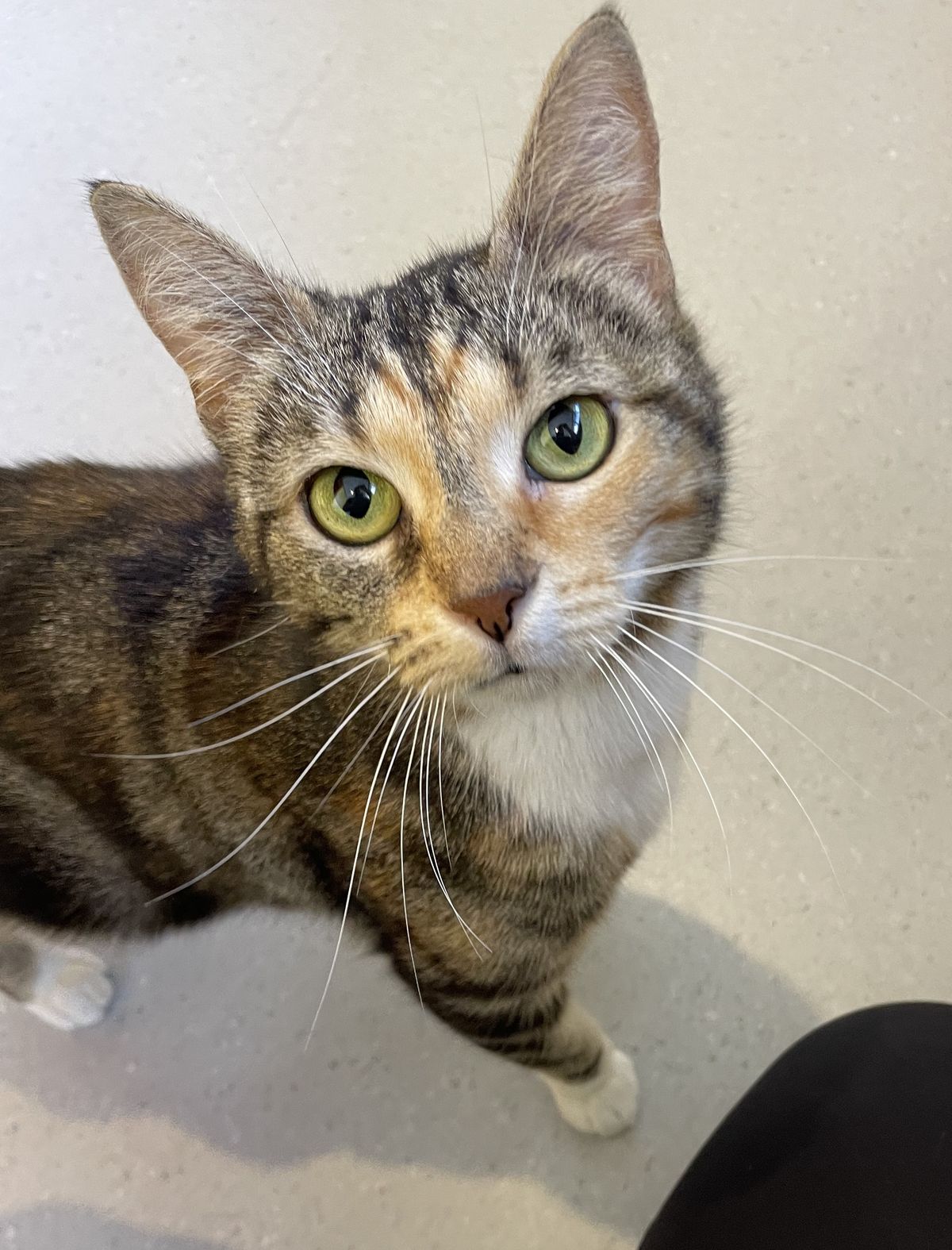 Gallery image: Krissy