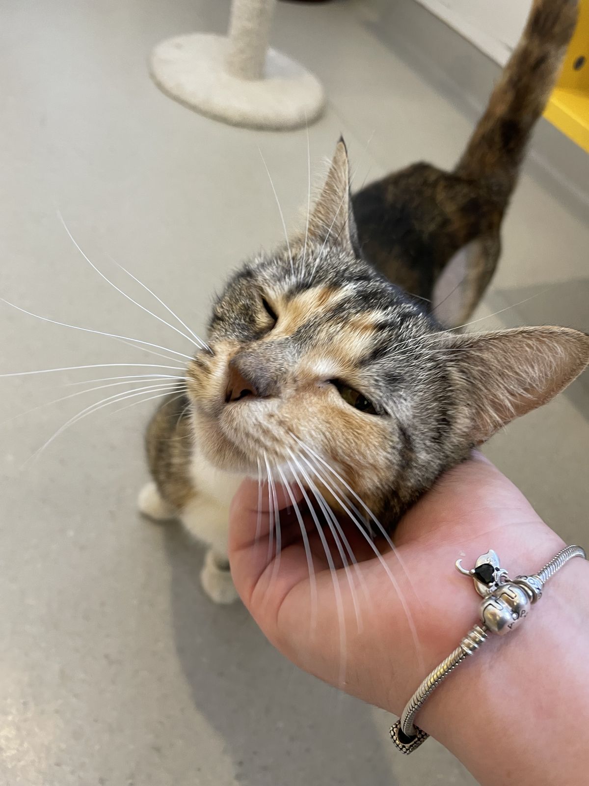 Gallery image: Krissy