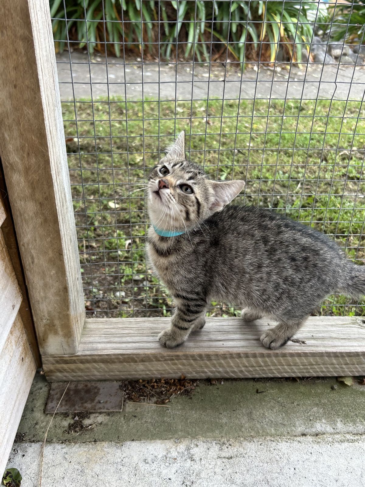 Gallery image: Mousse