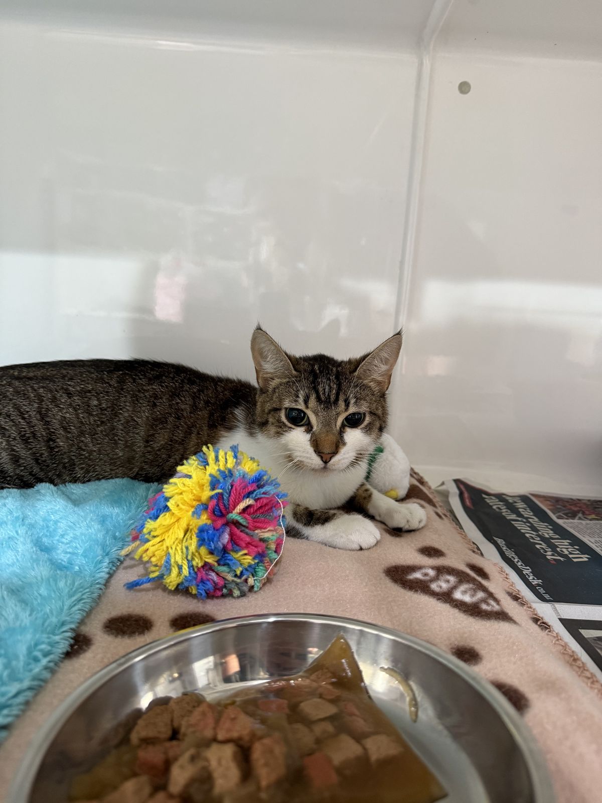 Gallery image: Queenie