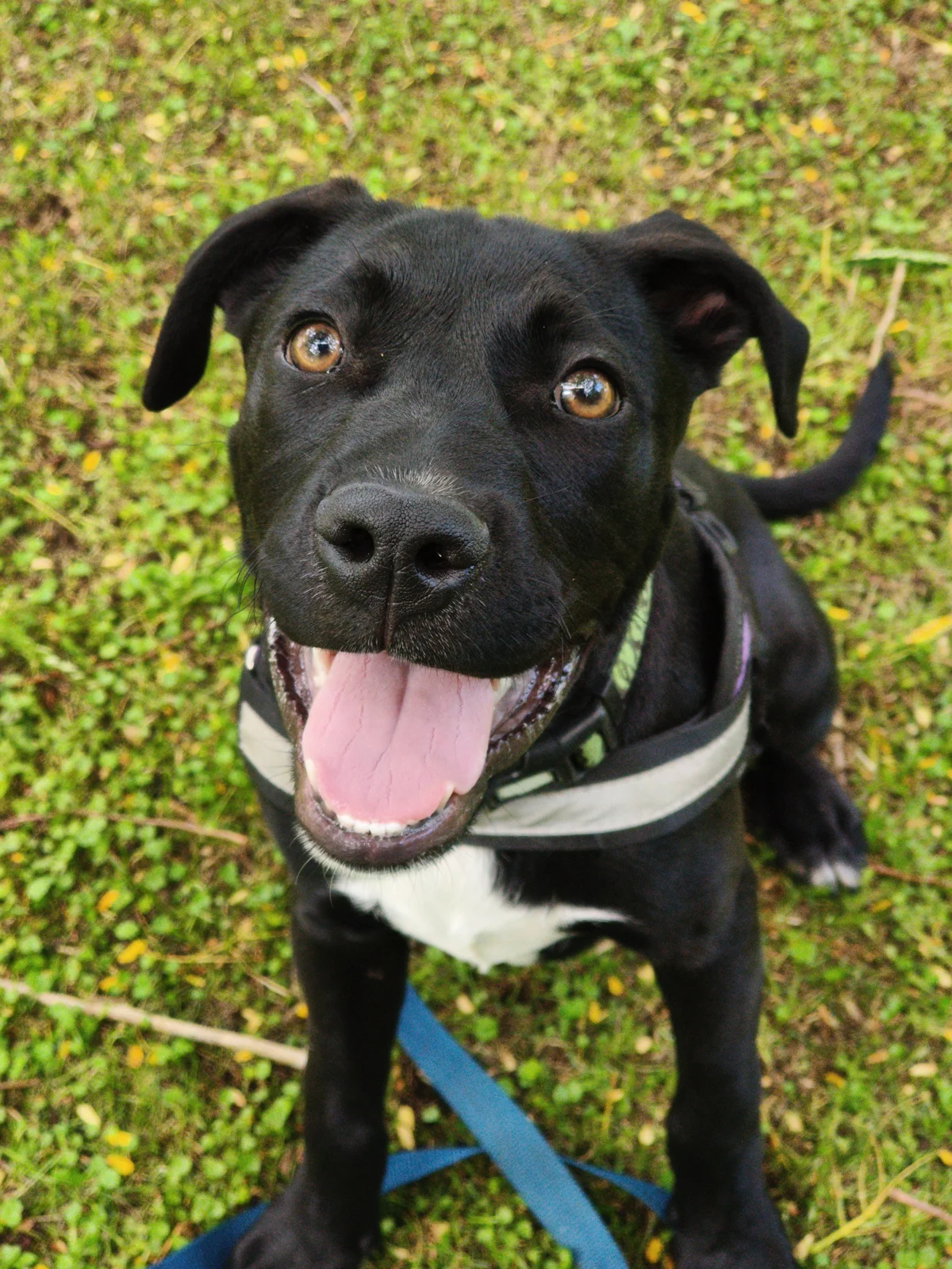 Gallery image: Aquarius