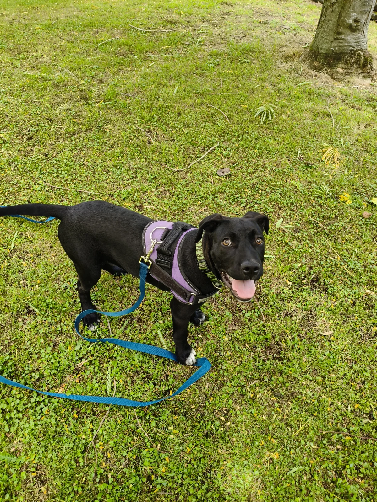 Gallery image: Aquarius