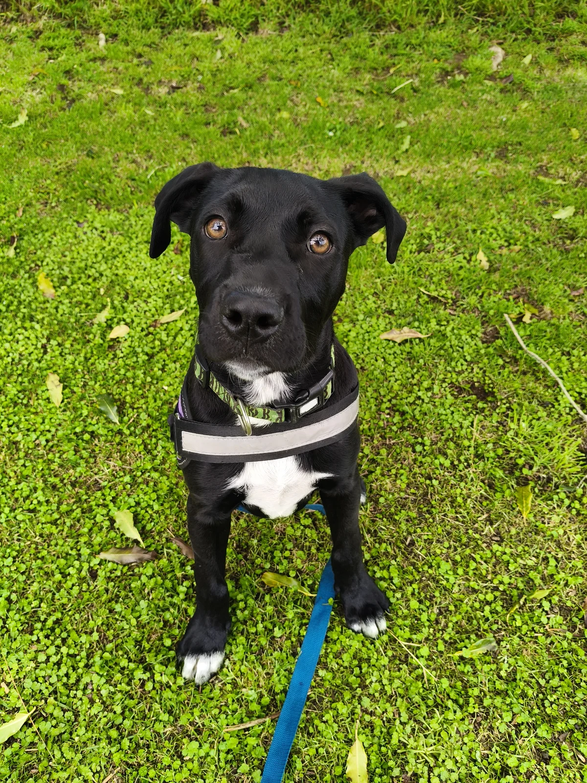 Gallery image: Aquarius