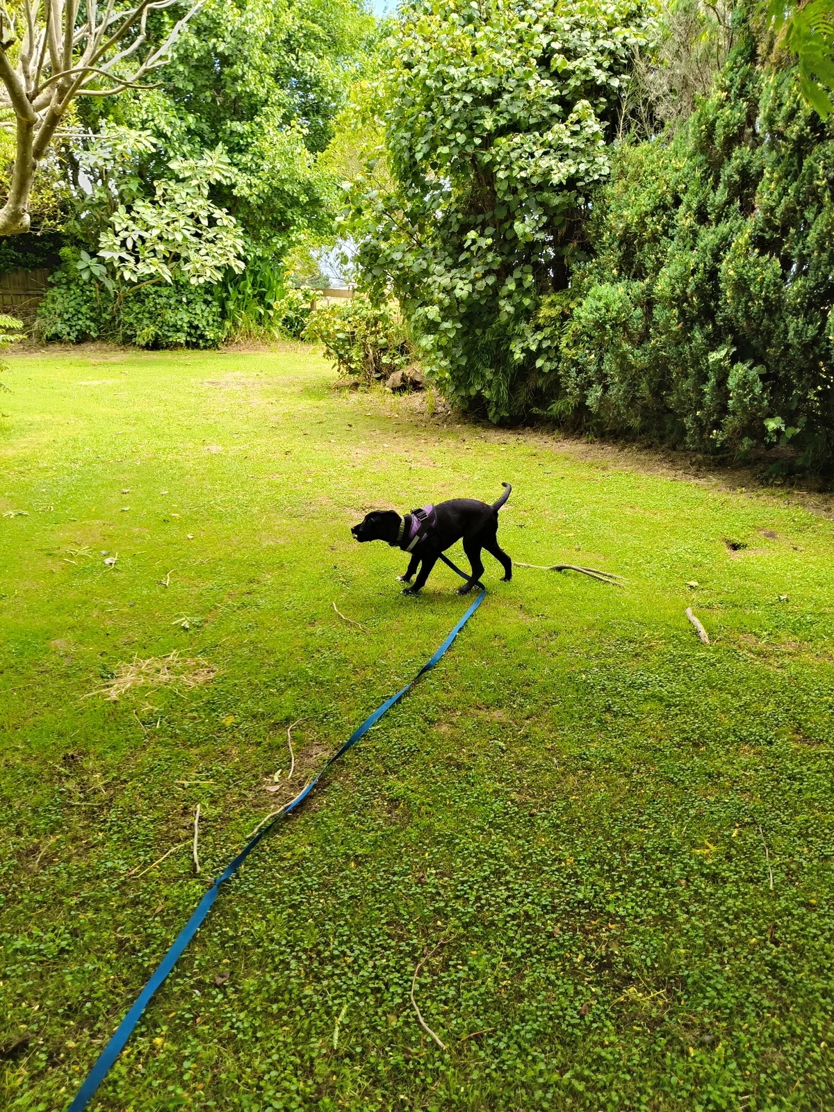 Gallery image: Aquarius