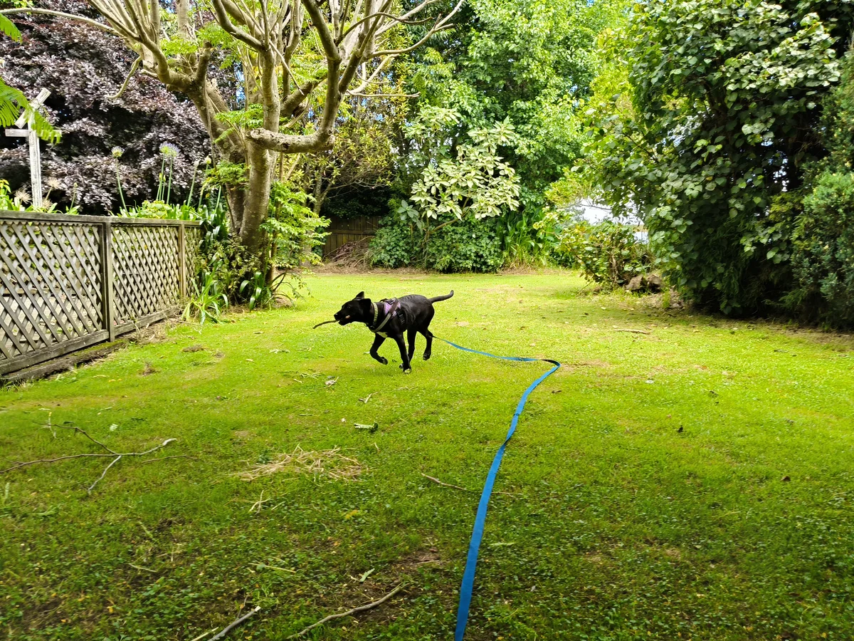 Gallery image: Aquarius