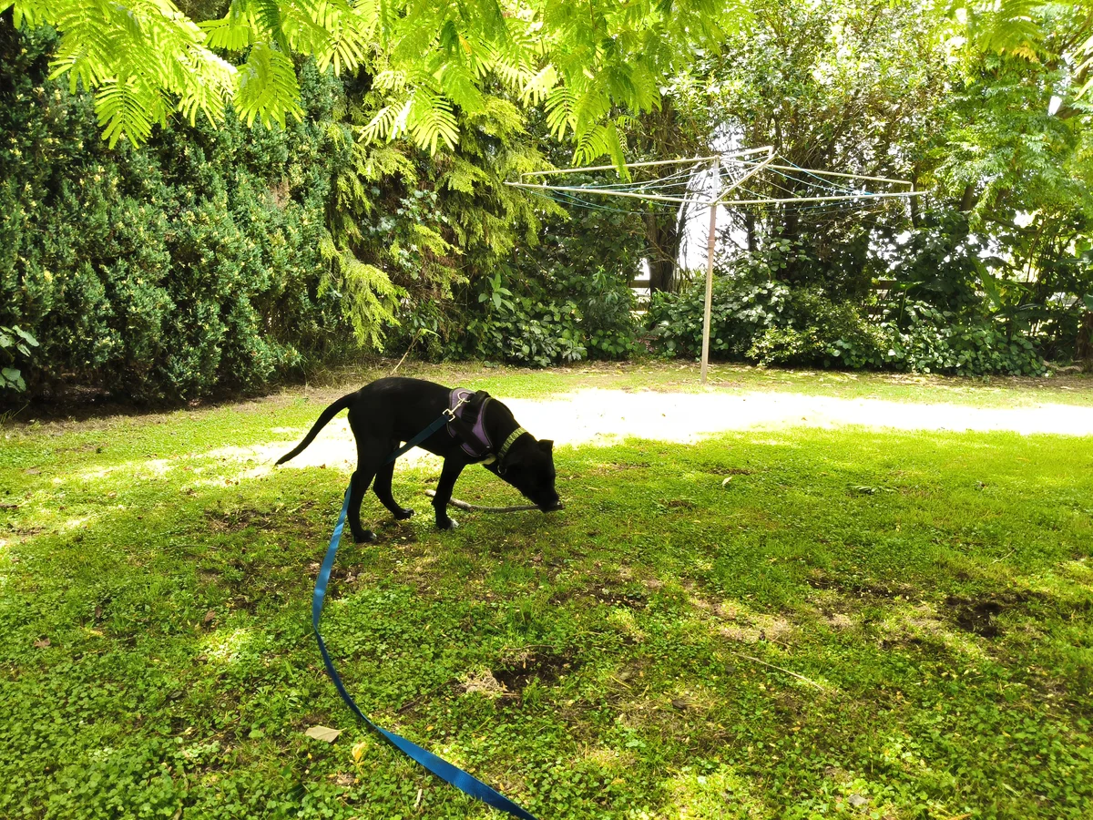 Gallery image: Aquarius