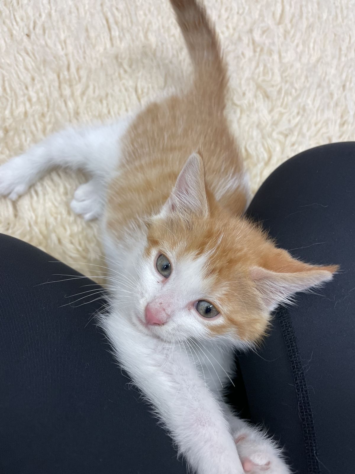 Gallery image: Julian