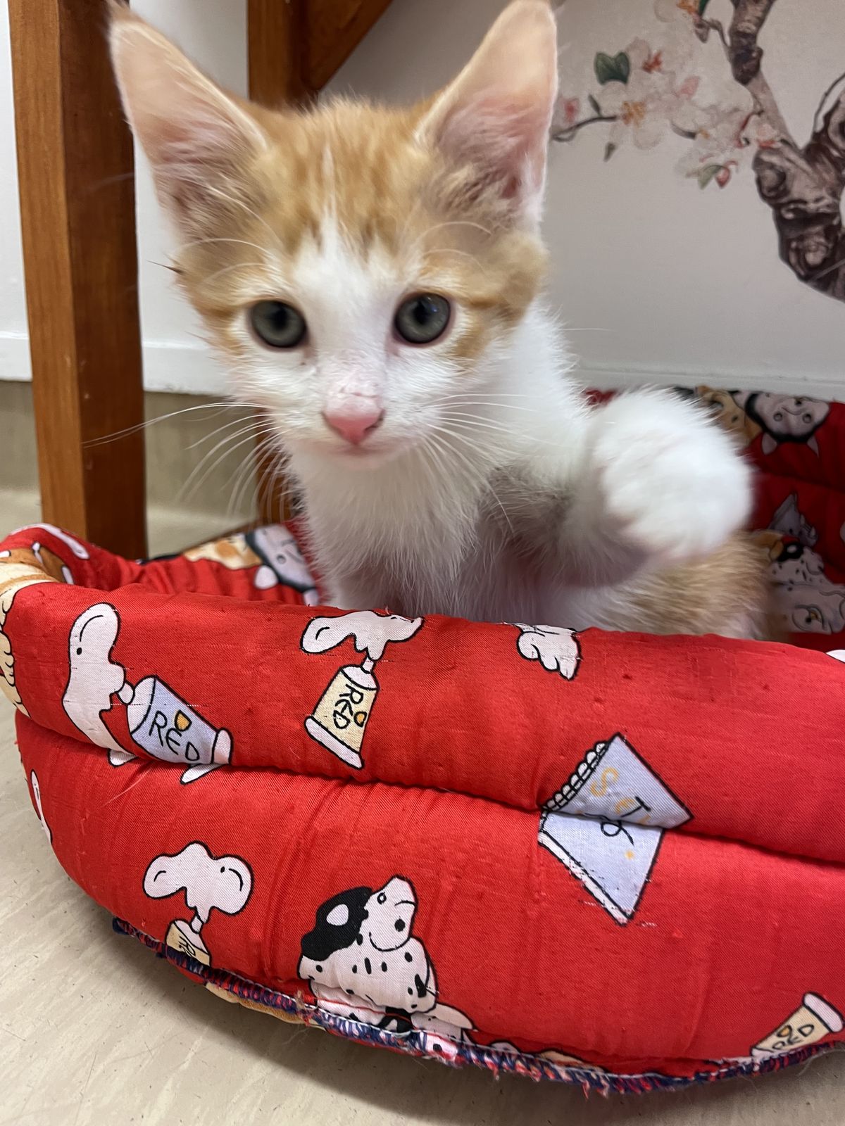 Gallery image: Julian