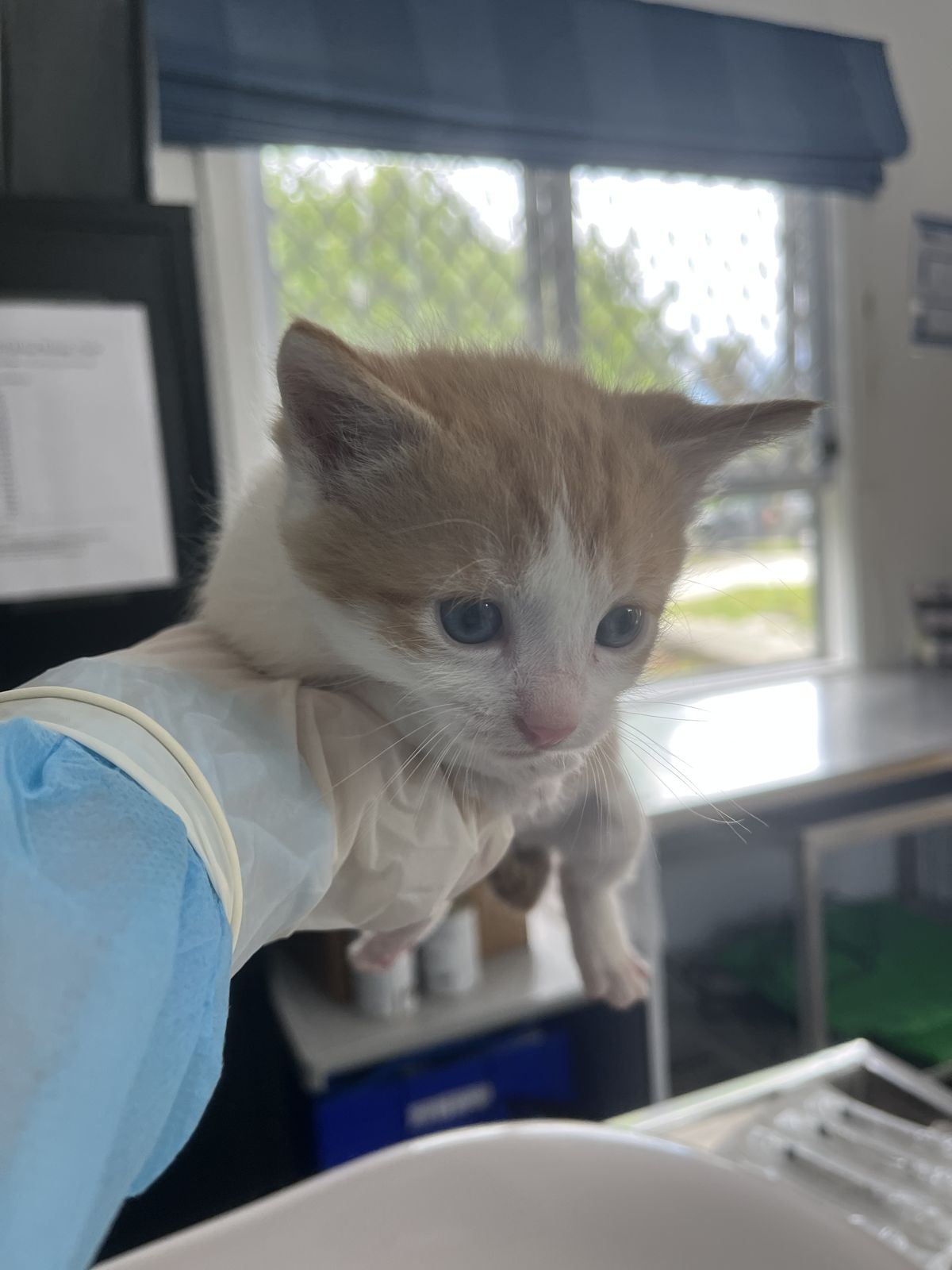 Gallery image: Julian