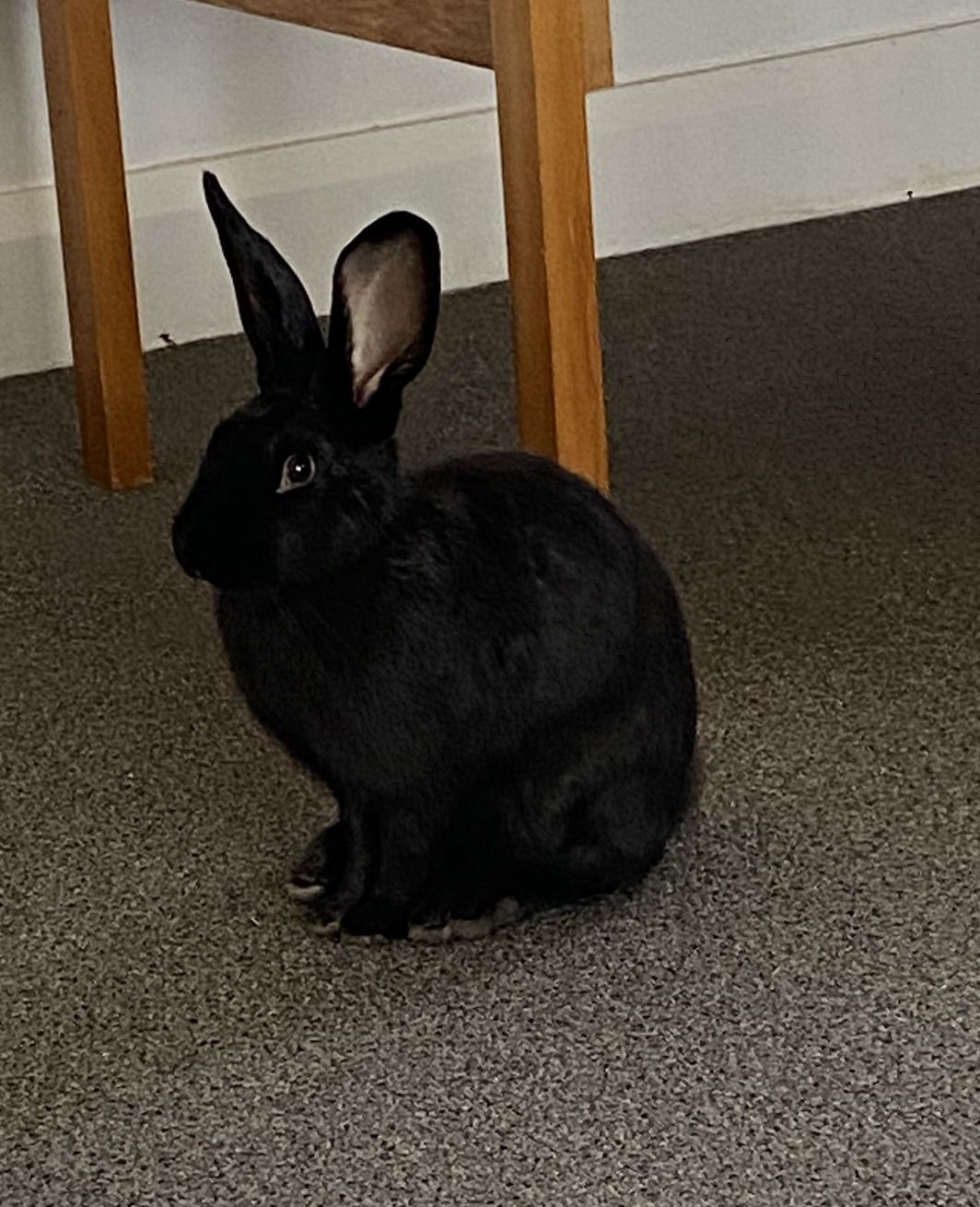 Gallery image: Arina