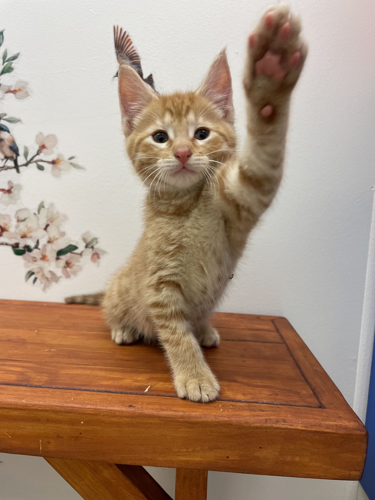 Gallery image: Jager