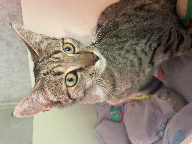 Gallery image: Harper