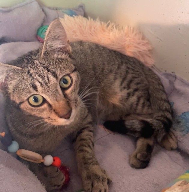 Gallery image: Harper