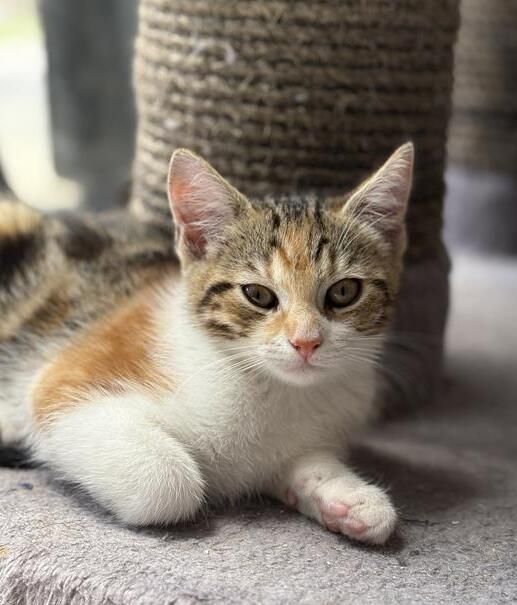 Gallery image: Kylee