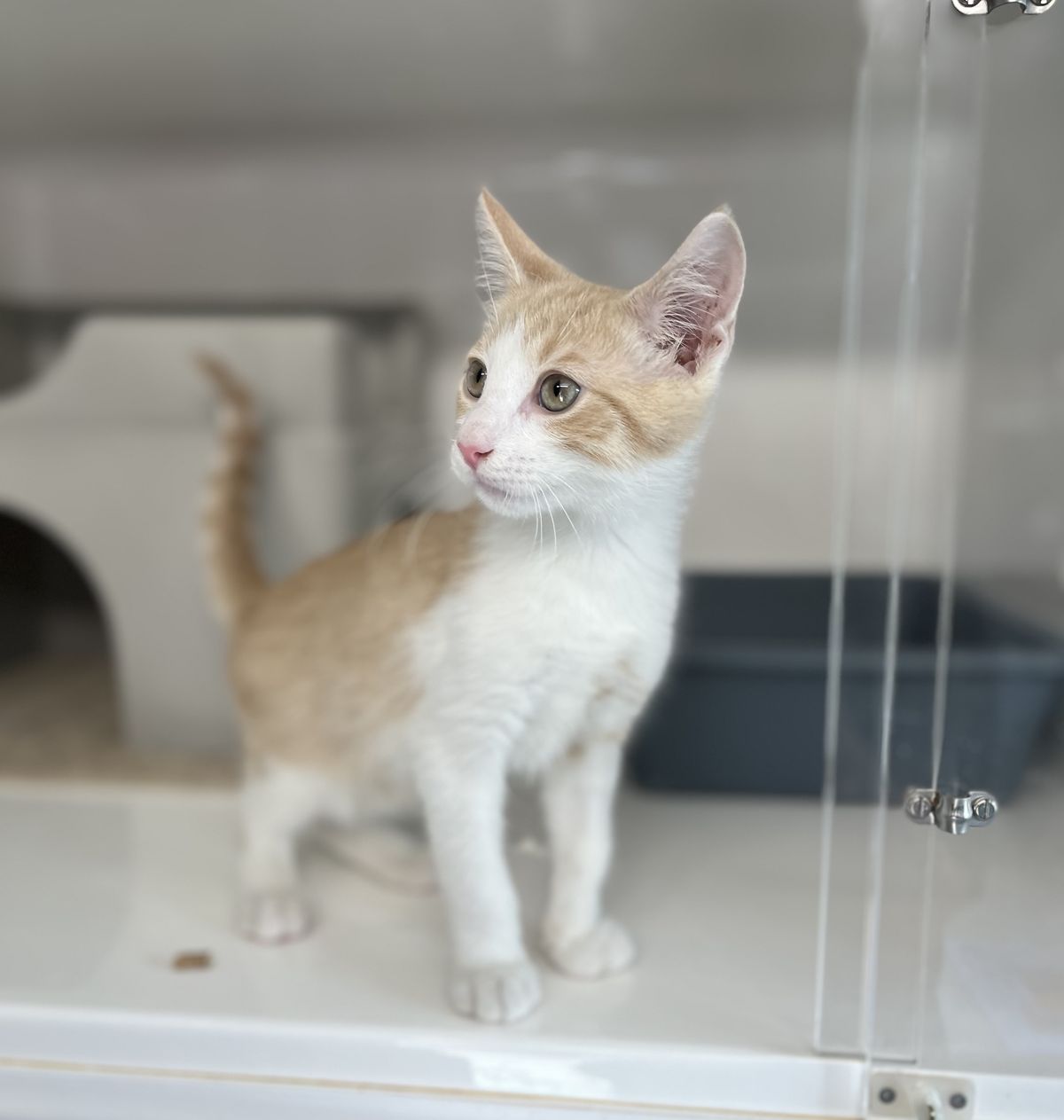 Gallery image: Waikato