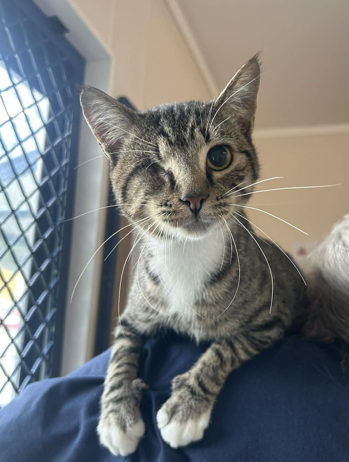 Gallery image: Plankton