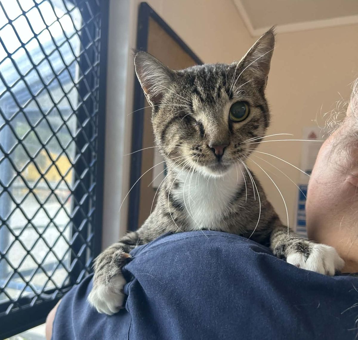 Gallery image: Plankton