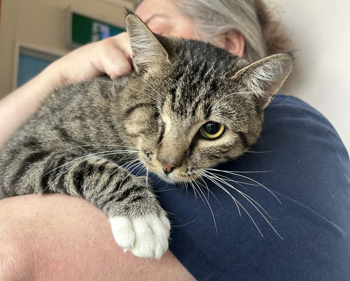 Gallery image: Plankton