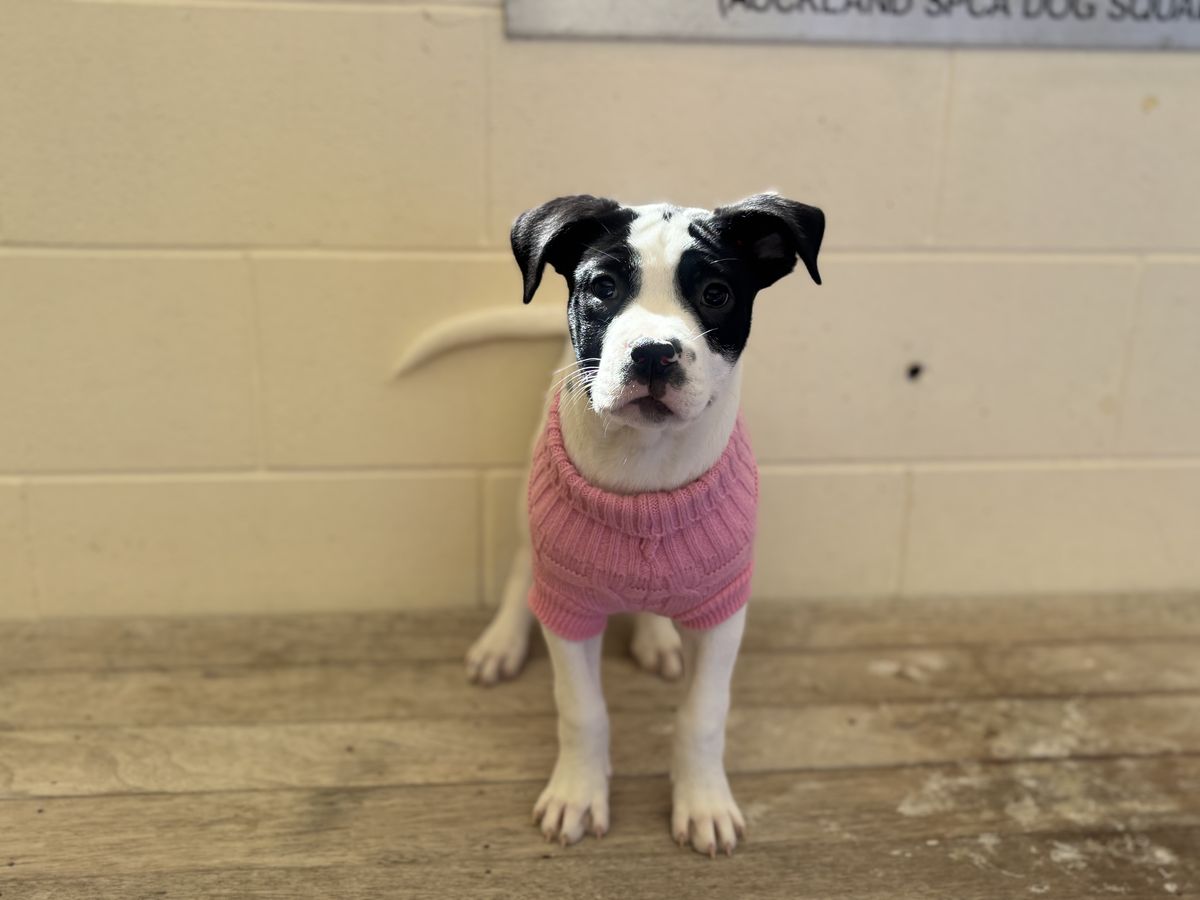 Gallery image: Carrie