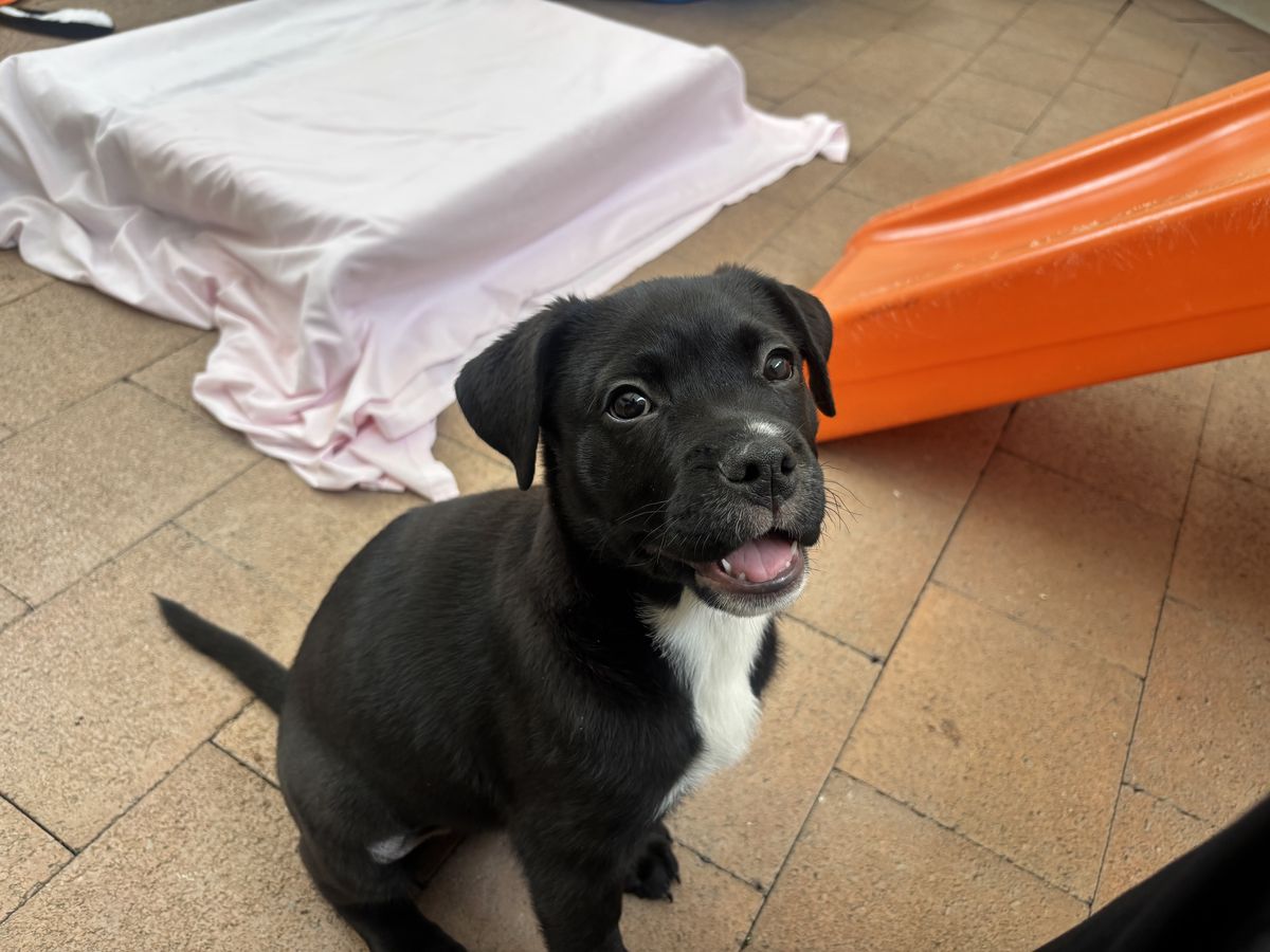 Gallery image: Charlotte