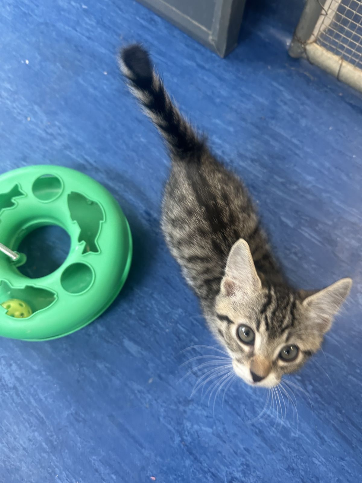 Gallery image: Preston