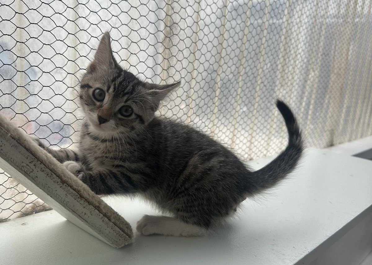 Gallery image: Preston