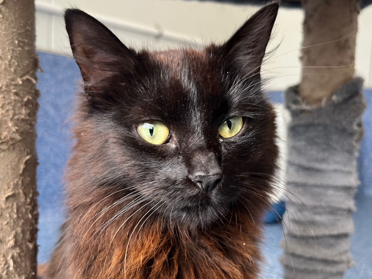 Gallery image: Missy