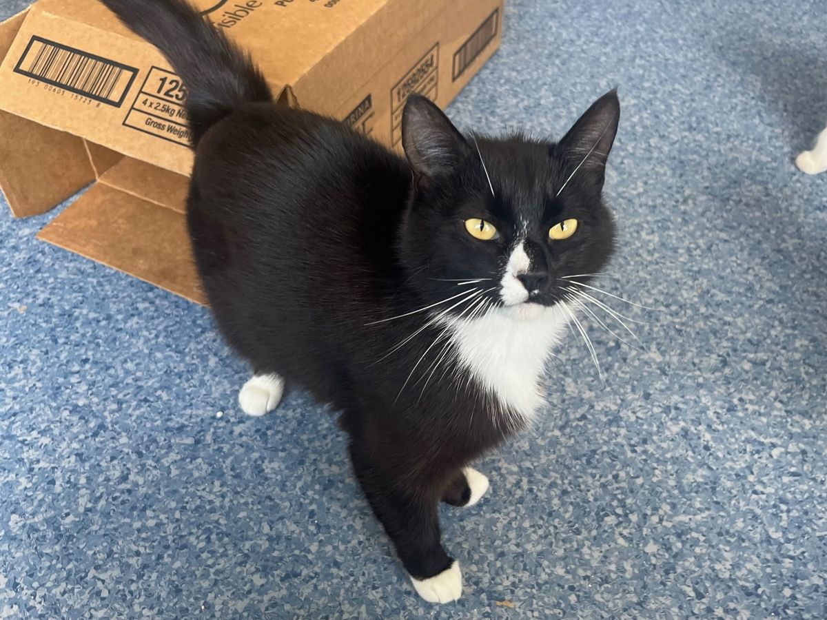 Gallery image: Lauryn