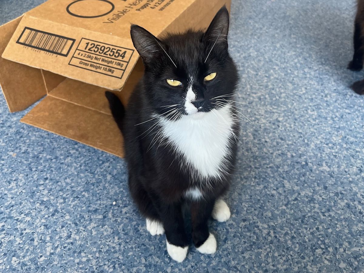 Gallery image: Lauryn