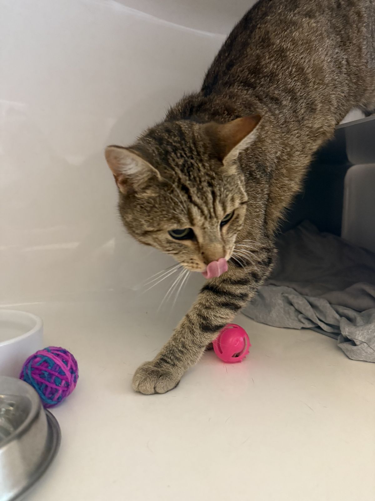 Gallery image: Pilot