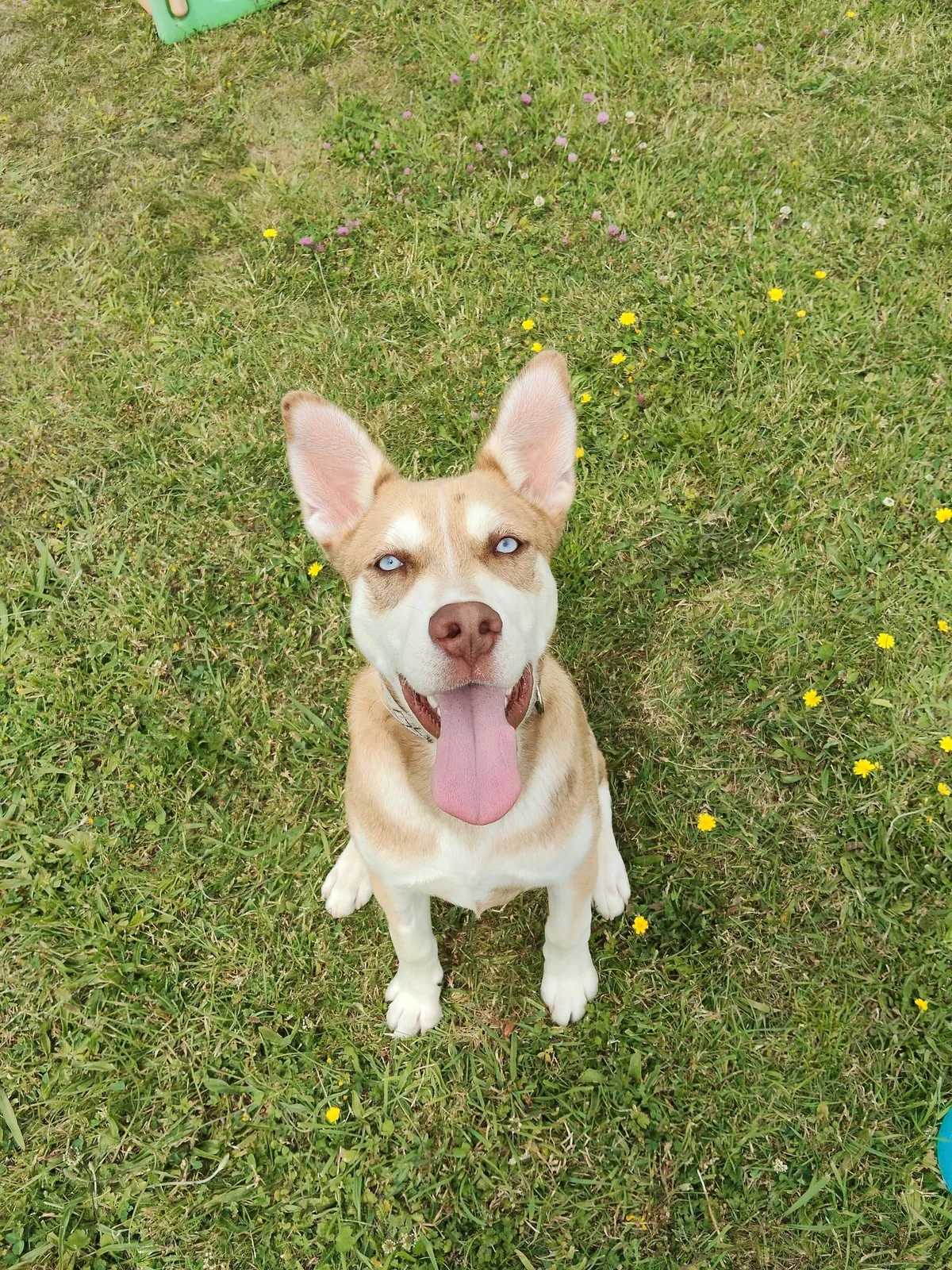 Gallery image: Rocky