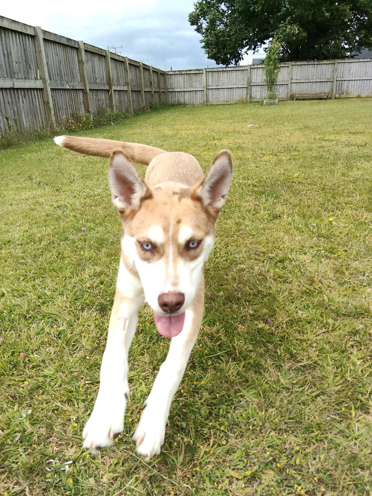 Gallery image: Rocky