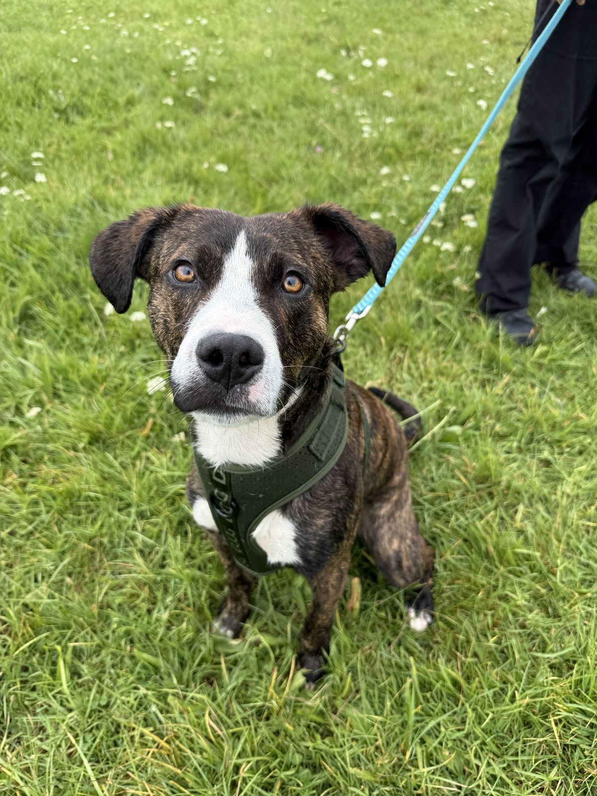 Gallery image: Kuzco