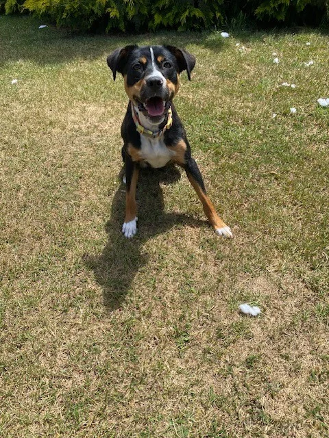 Gallery image: Chloe