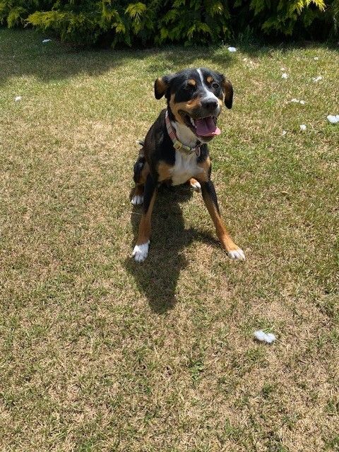 Gallery image: Chloe