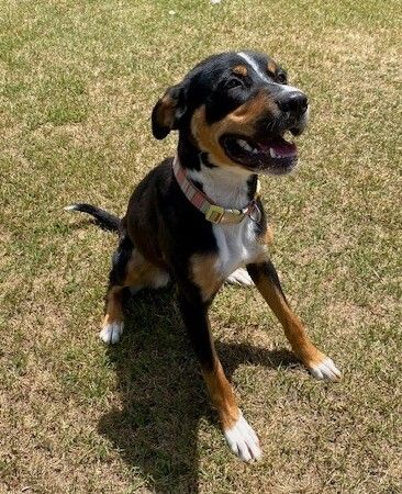 Gallery image: Chloe