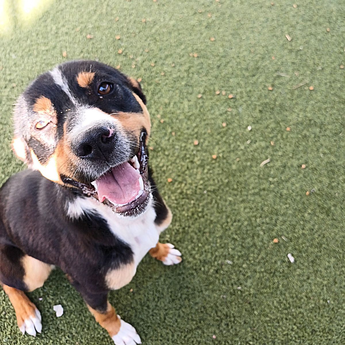 Gallery image: Chloe