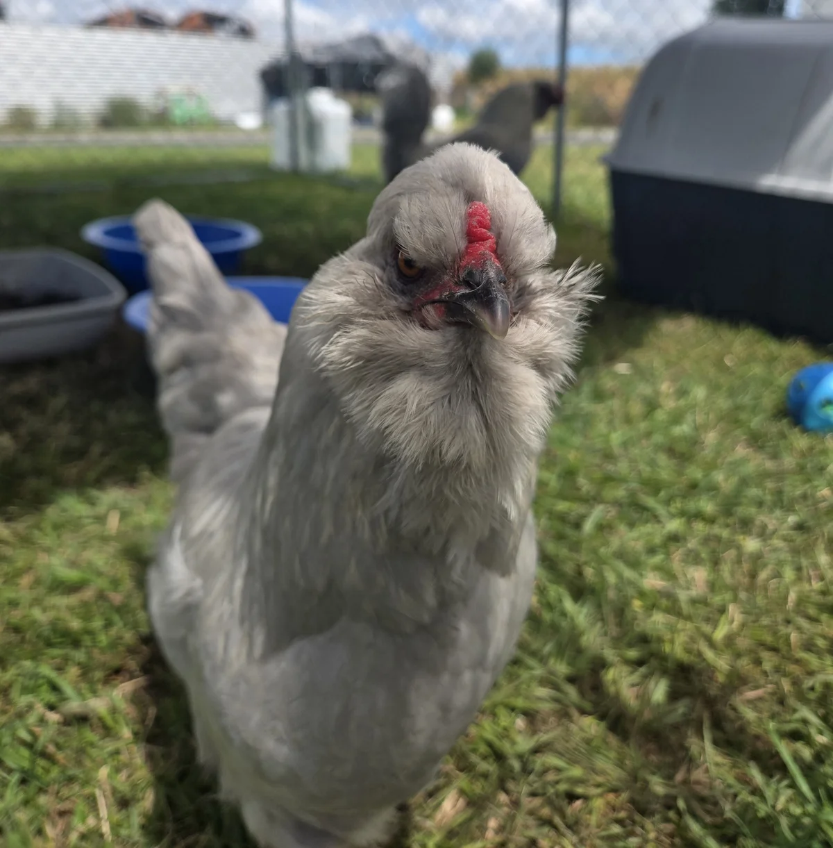 Gallery image: Martha