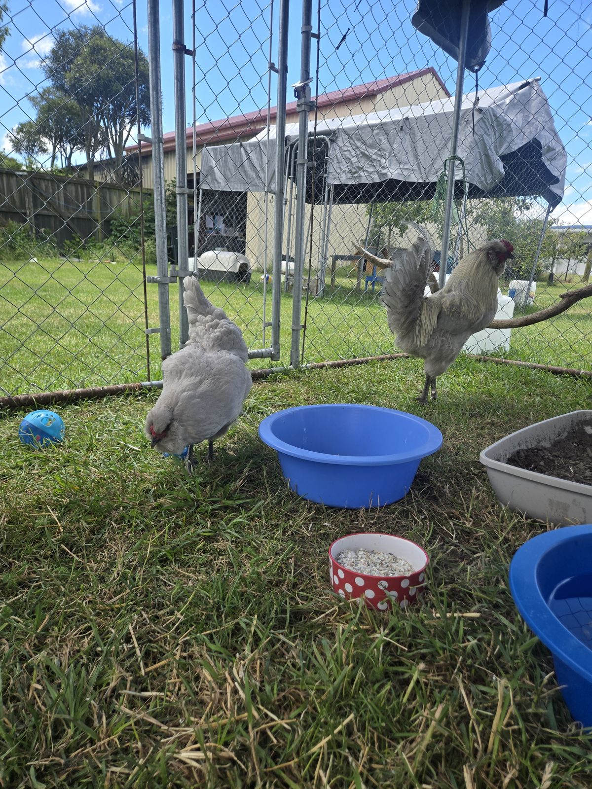 Gallery image: Martha