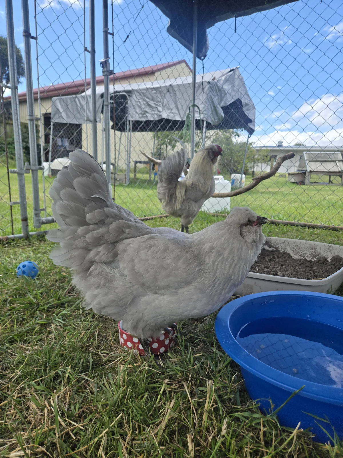 Gallery image: Martha