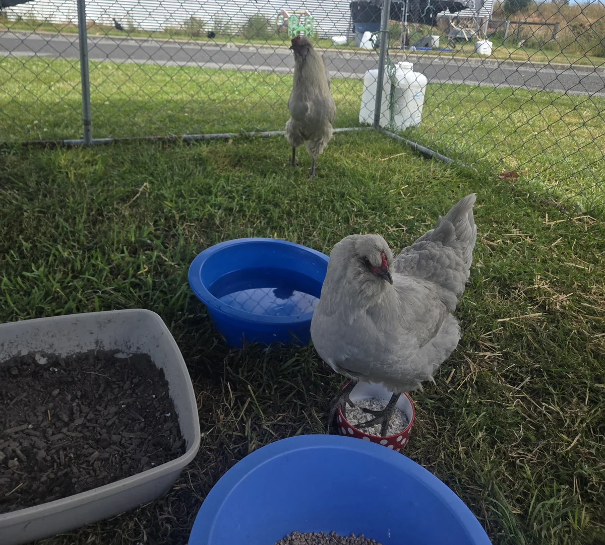 Gallery image: Martha