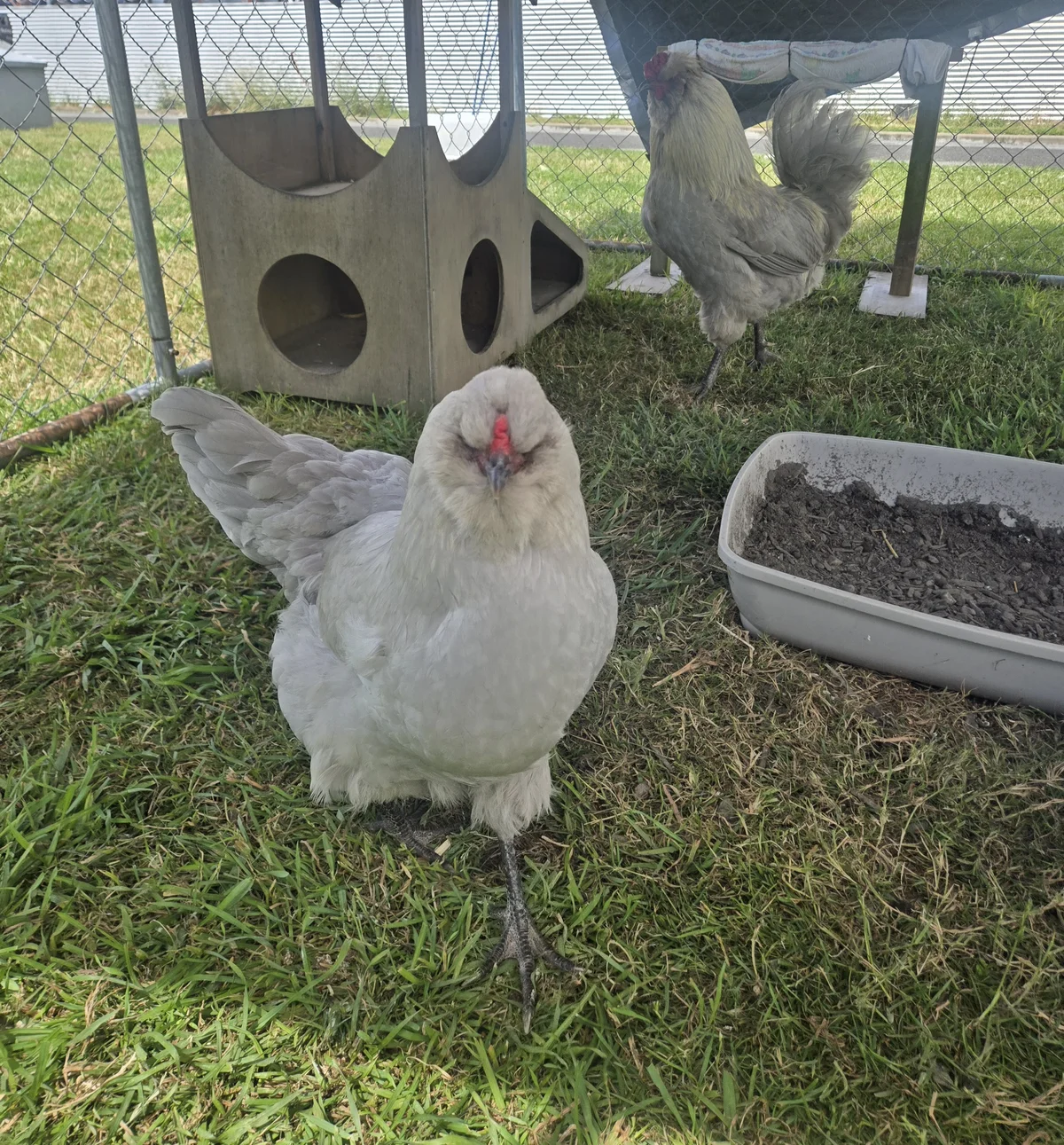 Gallery image: Martha